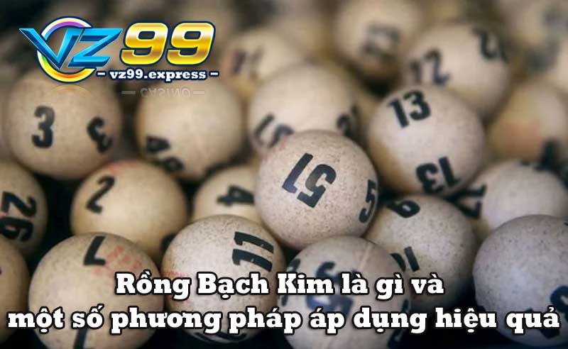 rồng bạch kim là gì